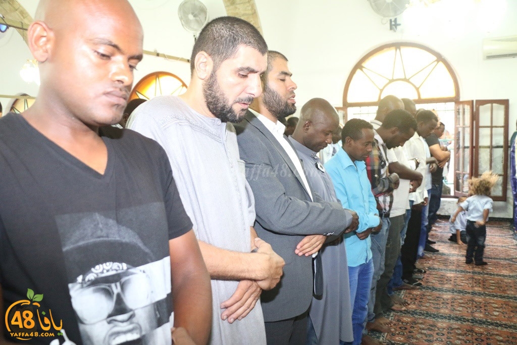 ad7a j u 7san (33).JPG